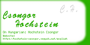 csongor hochstein business card